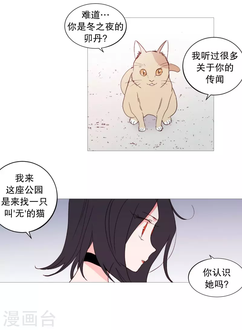动物灵魂管理局韩漫全集-第116话 公园无删减无遮挡章节图片 