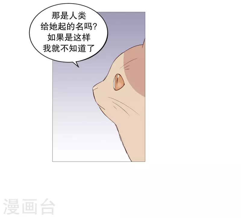 动物灵魂管理局韩漫全集-第116话 公园无删减无遮挡章节图片 