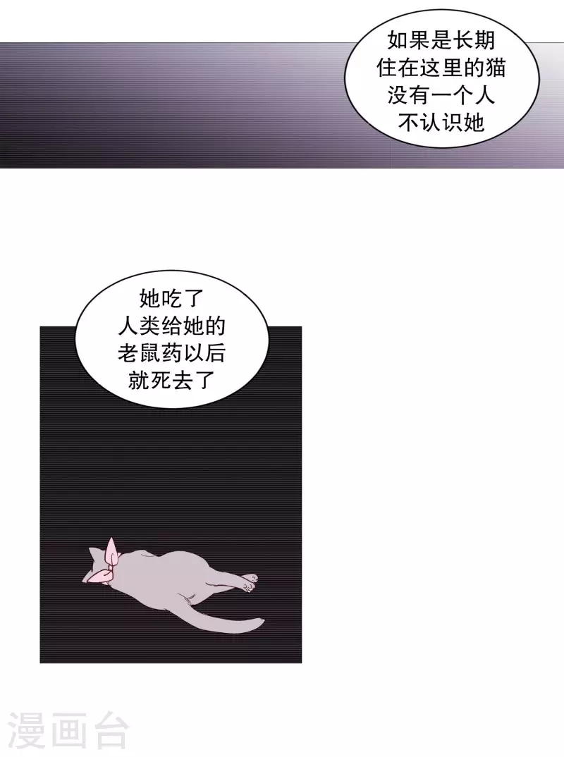 动物灵魂管理局韩漫全集-第116话 公园无删减无遮挡章节图片 