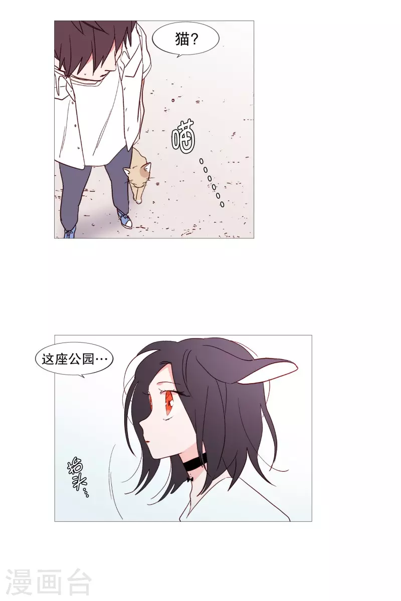 动物灵魂管理局韩漫全集-第116话 公园无删减无遮挡章节图片 