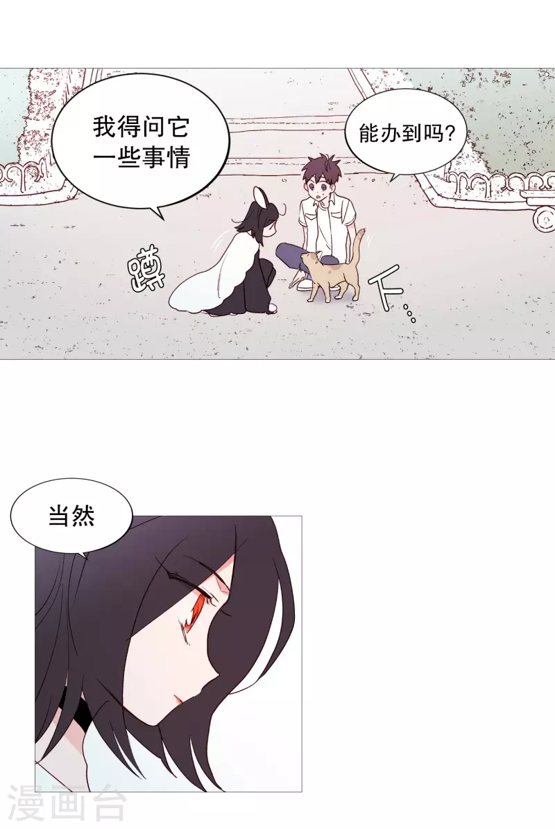 动物灵魂管理局韩漫全集-第116话 公园无删减无遮挡章节图片 