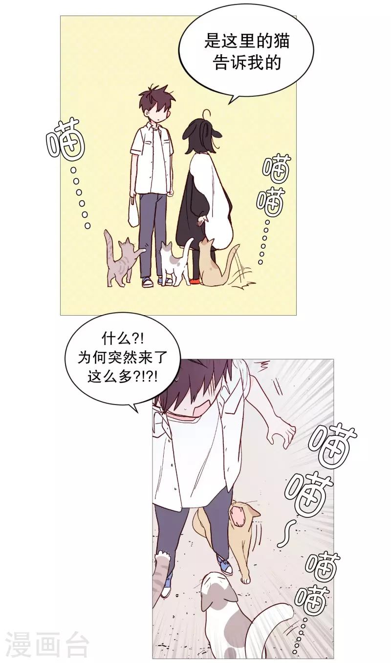 动物灵魂管理局韩漫全集-第119话 背后灵无删减无遮挡章节图片 