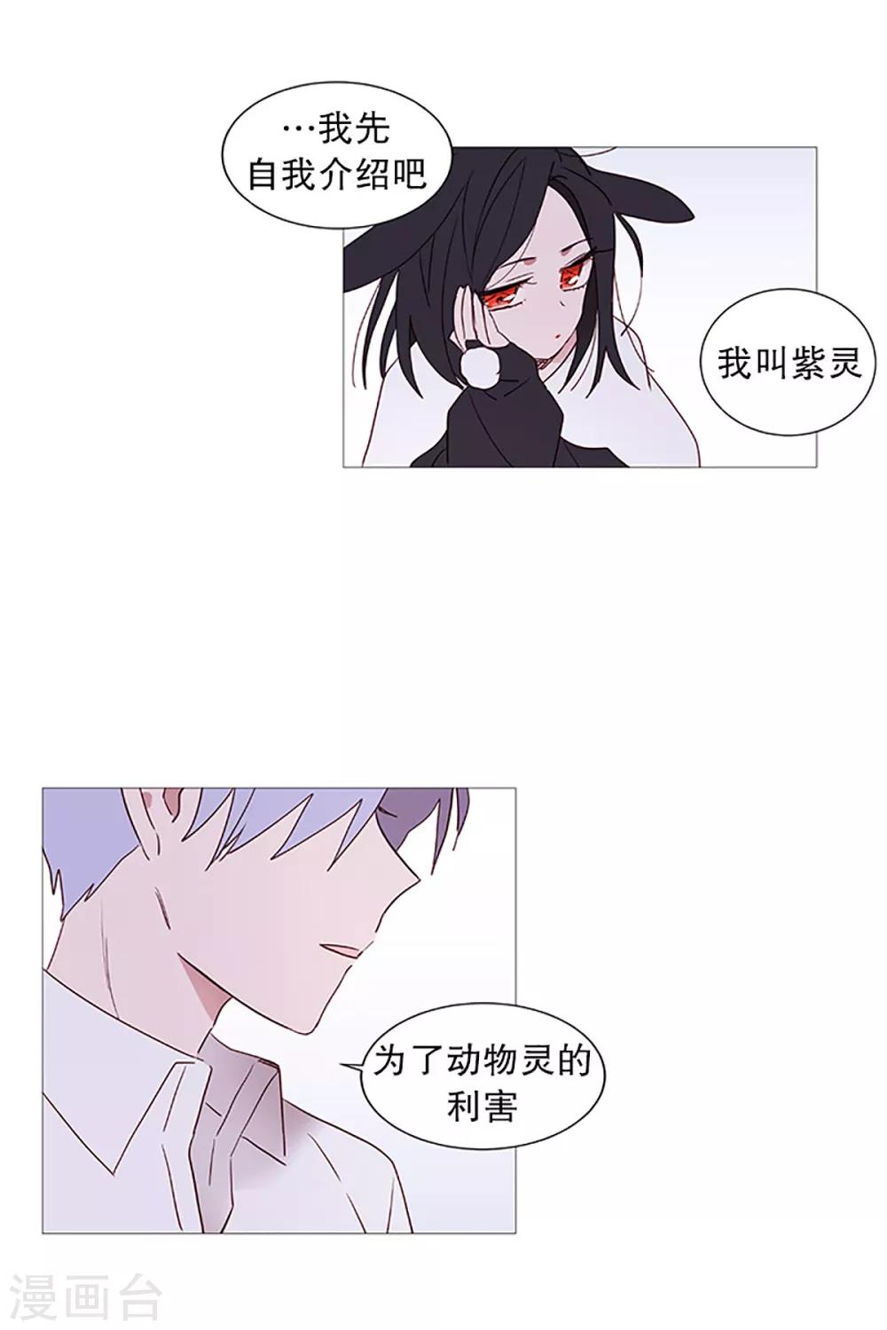 动物灵魂管理局韩漫全集-第13话 我是紫灵无删减无遮挡章节图片 