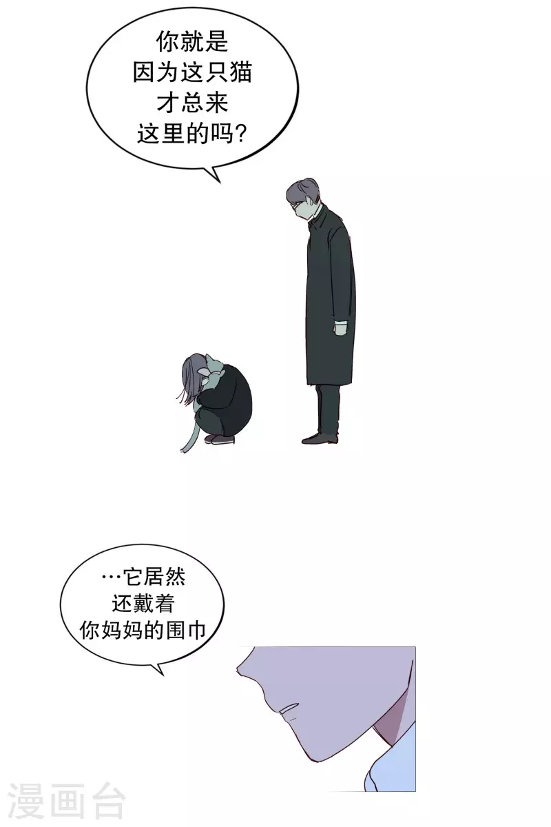 动物灵魂管理局韩漫全集-第130话 死因无删减无遮挡章节图片 