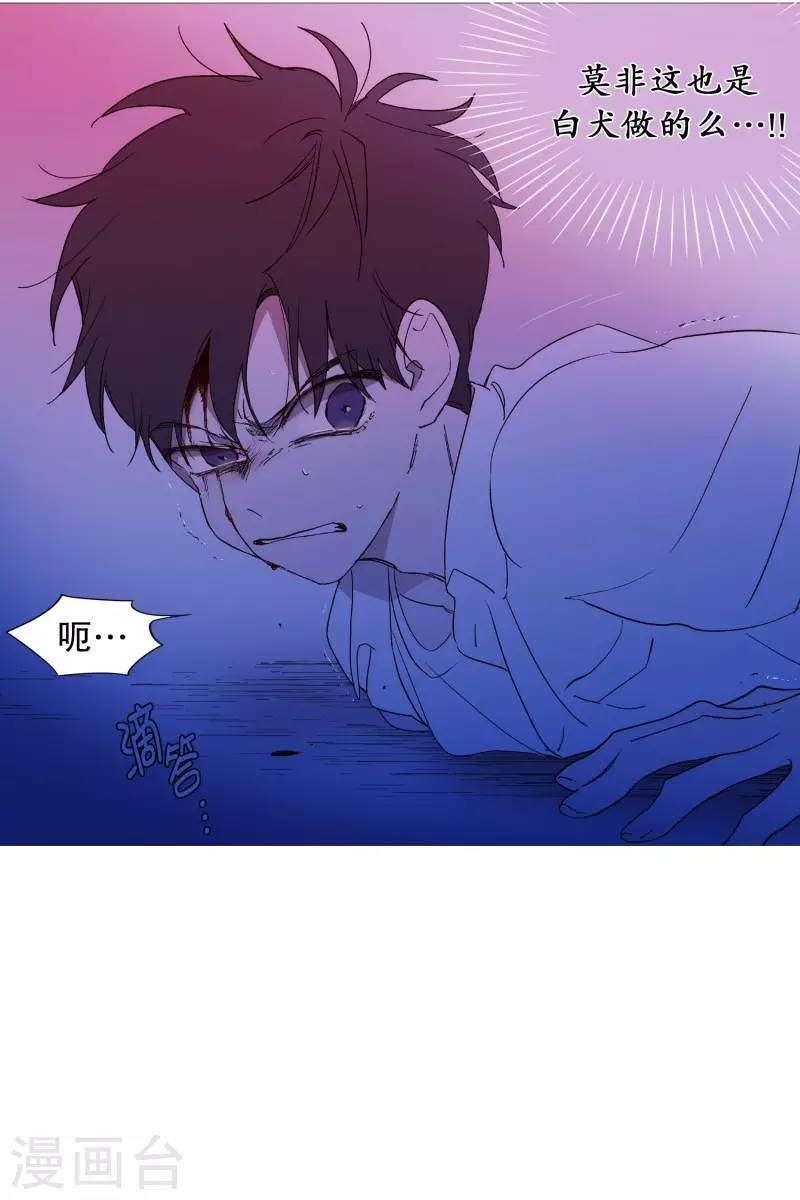 动物灵魂管理局韩漫全集-第132话 偷袭无删减无遮挡章节图片 