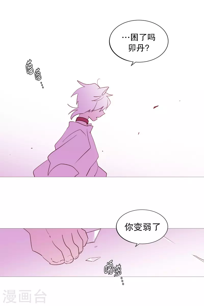 动物灵魂管理局韩漫全集-第134话 意料之外的人无删减无遮挡章节图片 