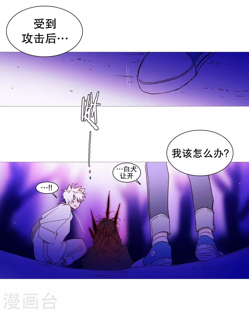 动物灵魂管理局韩漫全集-第145话 项链无删减无遮挡章节图片 