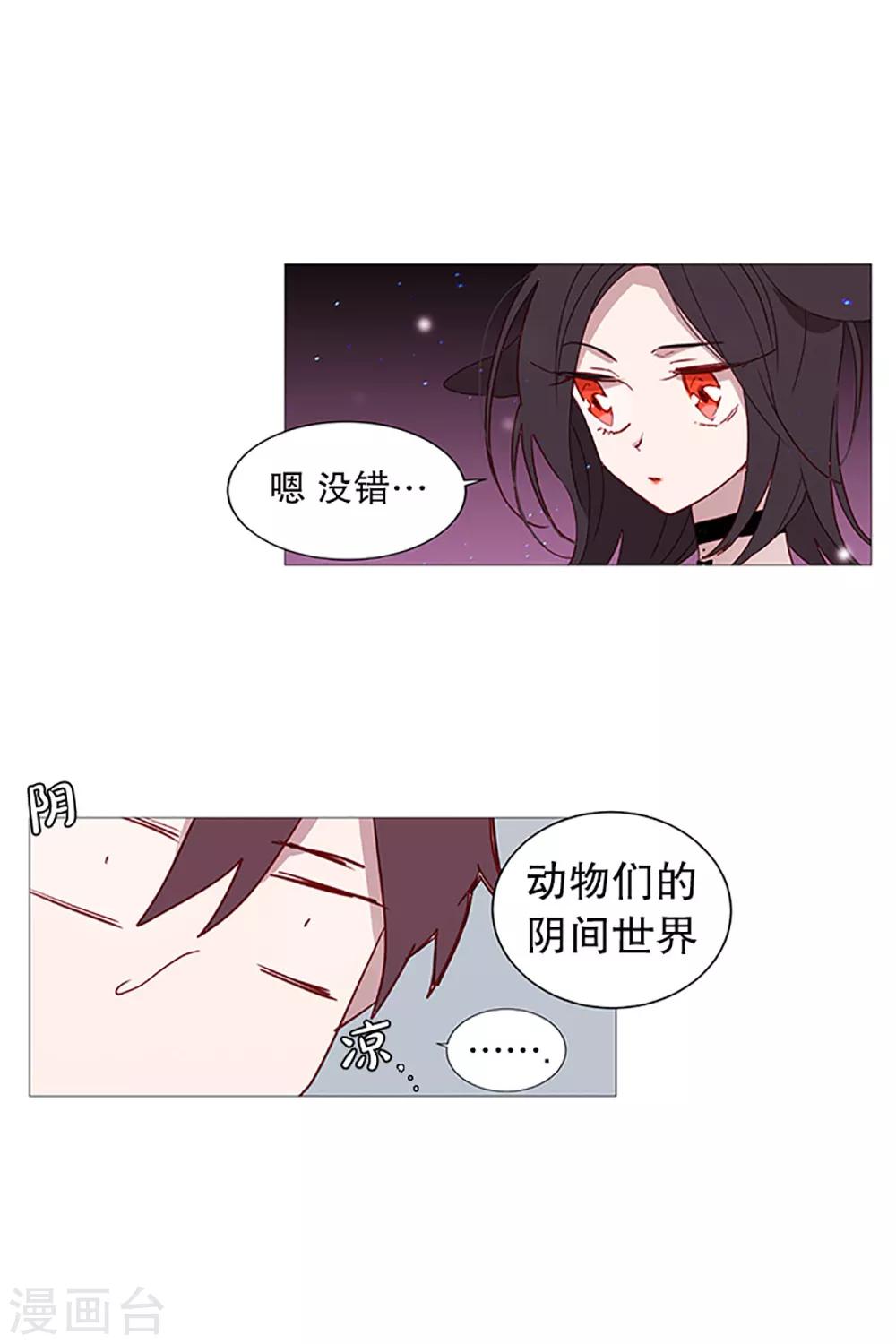 动物灵魂管理局韩漫全集-第16话 动物们的阴间无删减无遮挡章节图片 