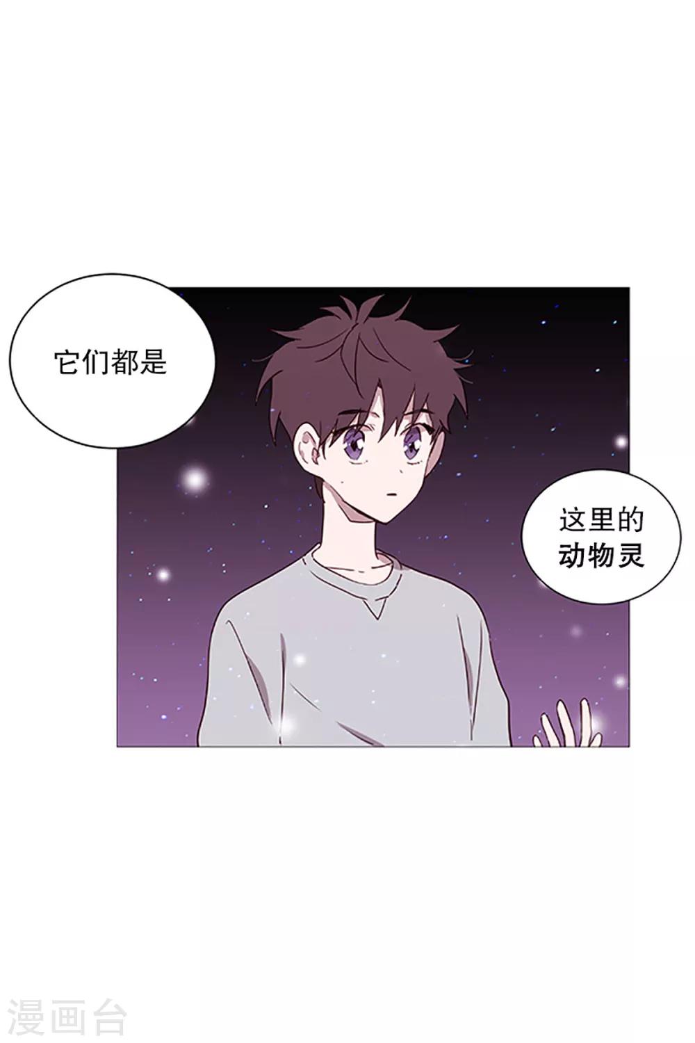 动物灵魂管理局韩漫全集-第16话 动物们的阴间无删减无遮挡章节图片 