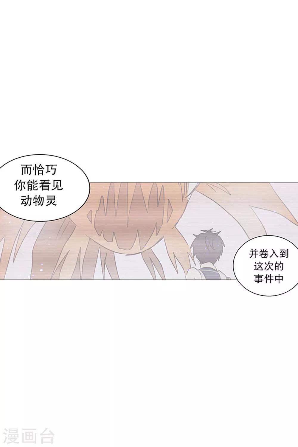 动物灵魂管理局韩漫全集-第17话 条件无删减无遮挡章节图片 
