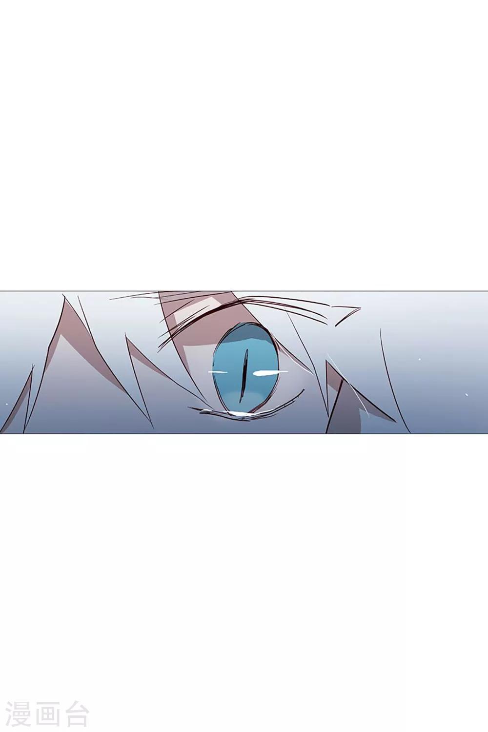 动物灵魂管理局韩漫全集-第20话 盘算无删减无遮挡章节图片 