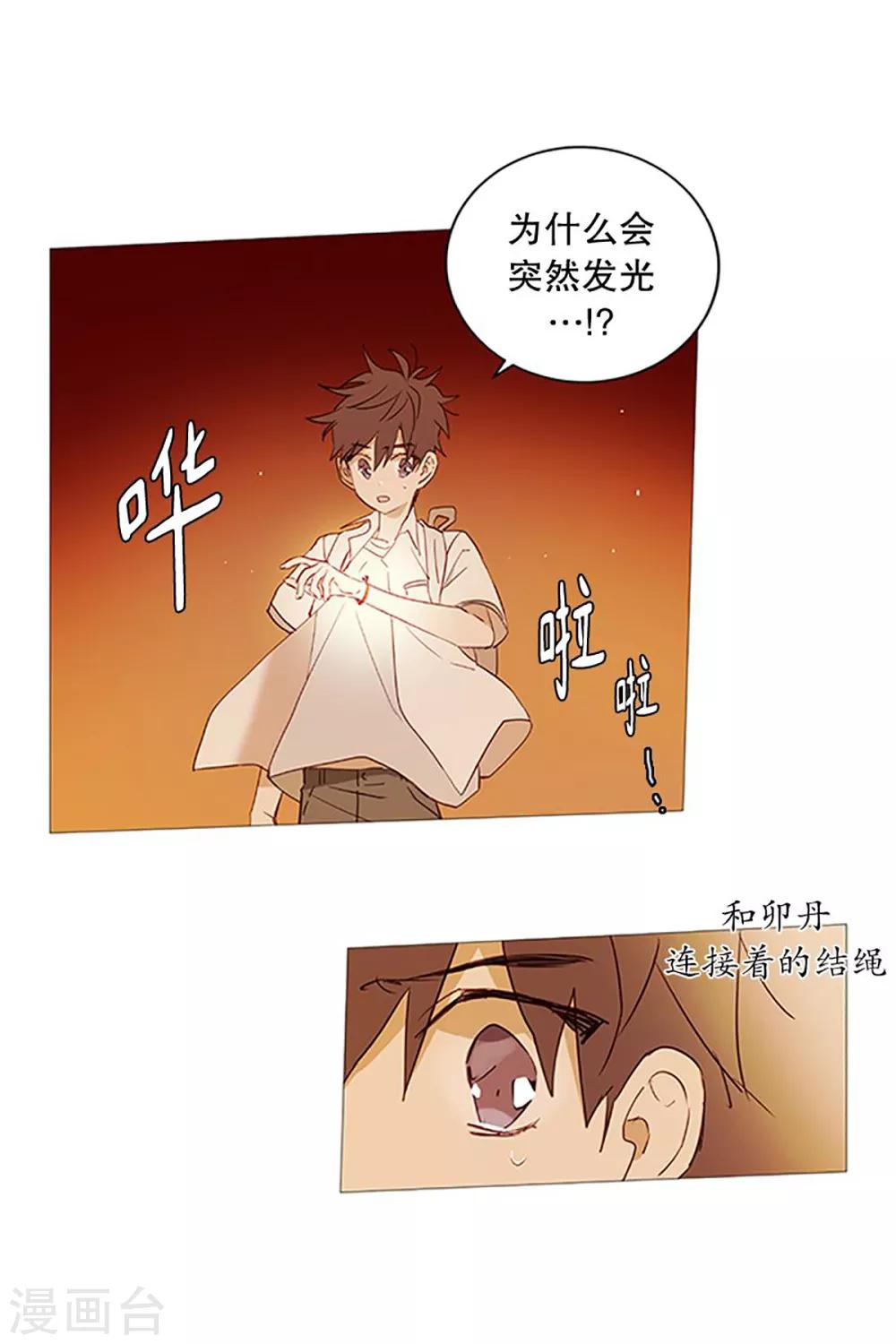 动物灵魂管理局韩漫全集-第27话 相似无删减无遮挡章节图片 