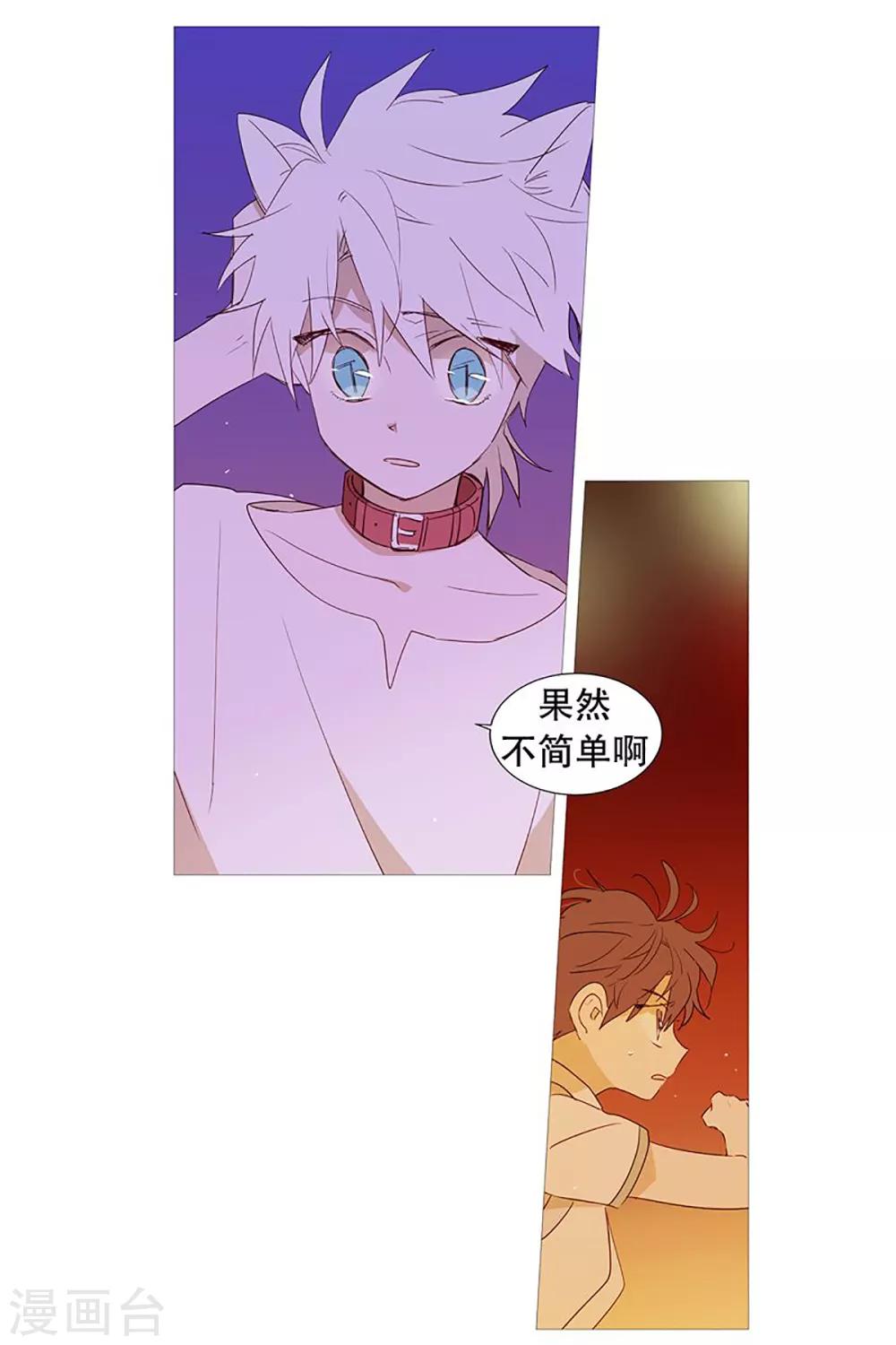 动物灵魂管理局韩漫全集-第27话 相似无删减无遮挡章节图片 