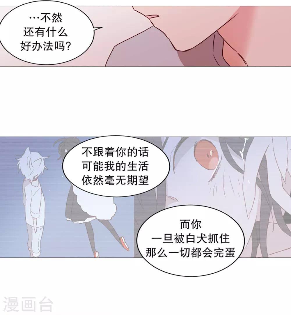 动物灵魂管理局韩漫全集-第34话 以后的打算无删减无遮挡章节图片 