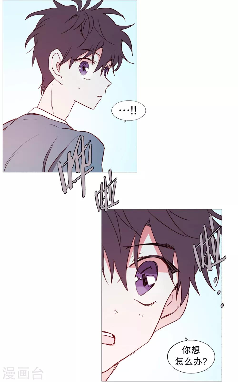 动物灵魂管理局韩漫全集-第40话 小鸡灵的选择1无删减无遮挡章节图片 