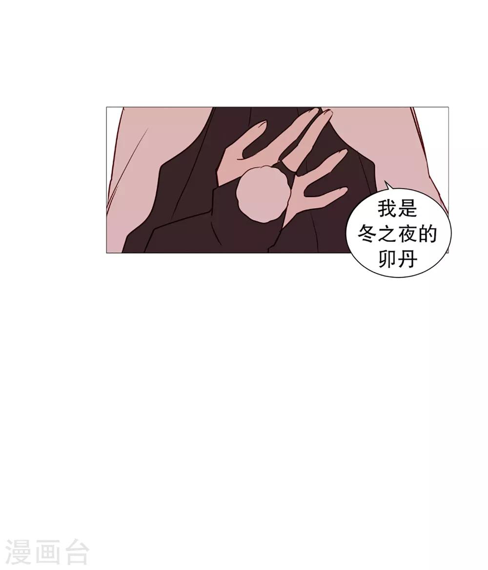 动物灵魂管理局韩漫全集-第41话 小鸡灵的选择2无删减无遮挡章节图片 