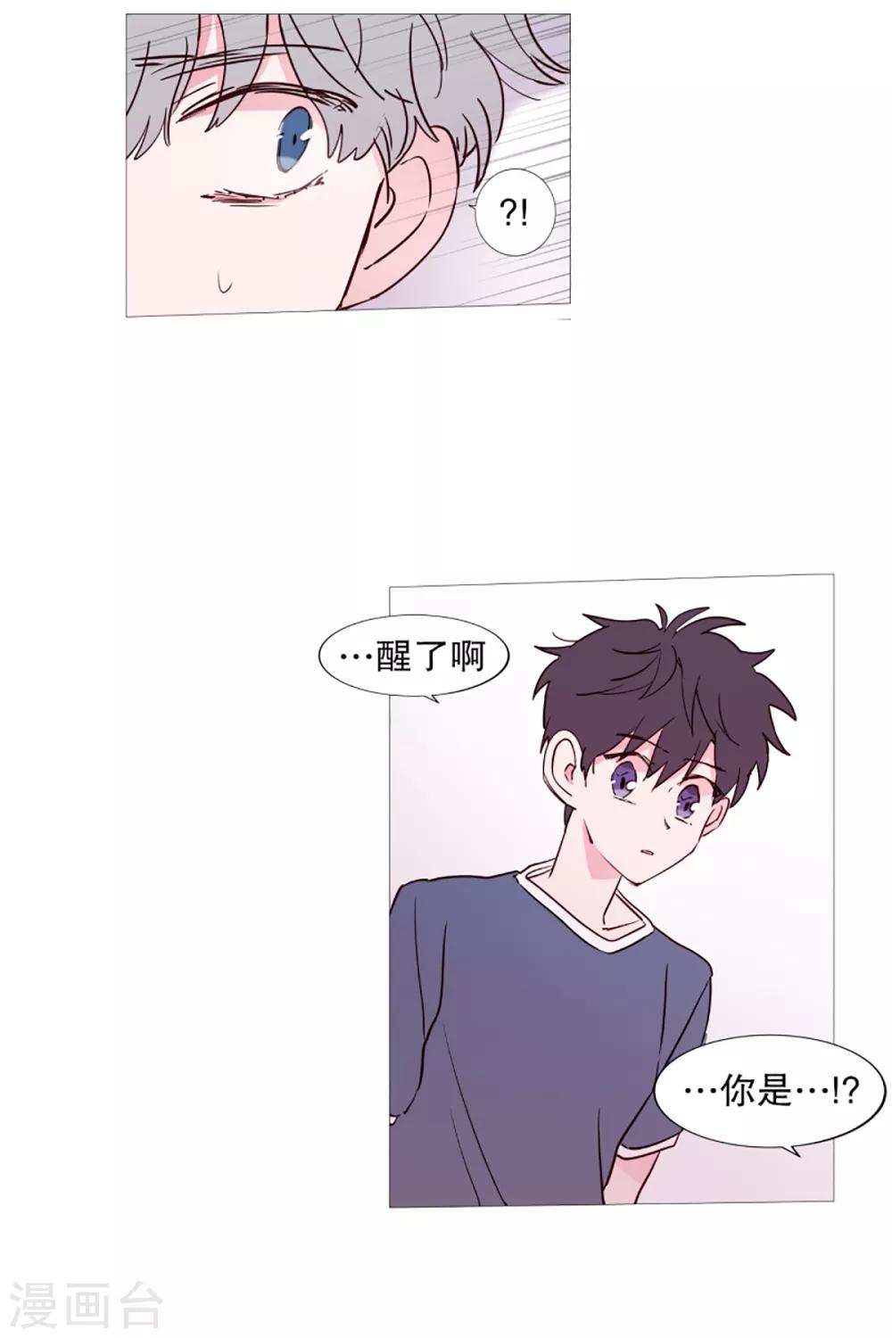 动物灵魂管理局韩漫全集-第43话 喜欢你无删减无遮挡章节图片 