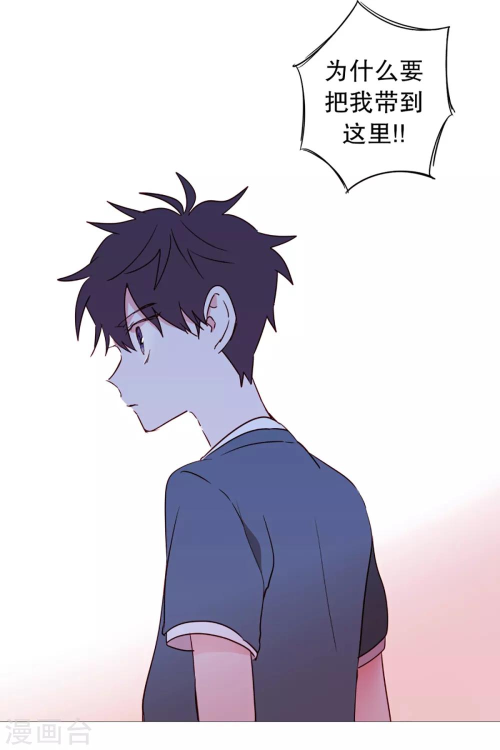 动物灵魂管理局韩漫全集-第43话 喜欢你无删减无遮挡章节图片 