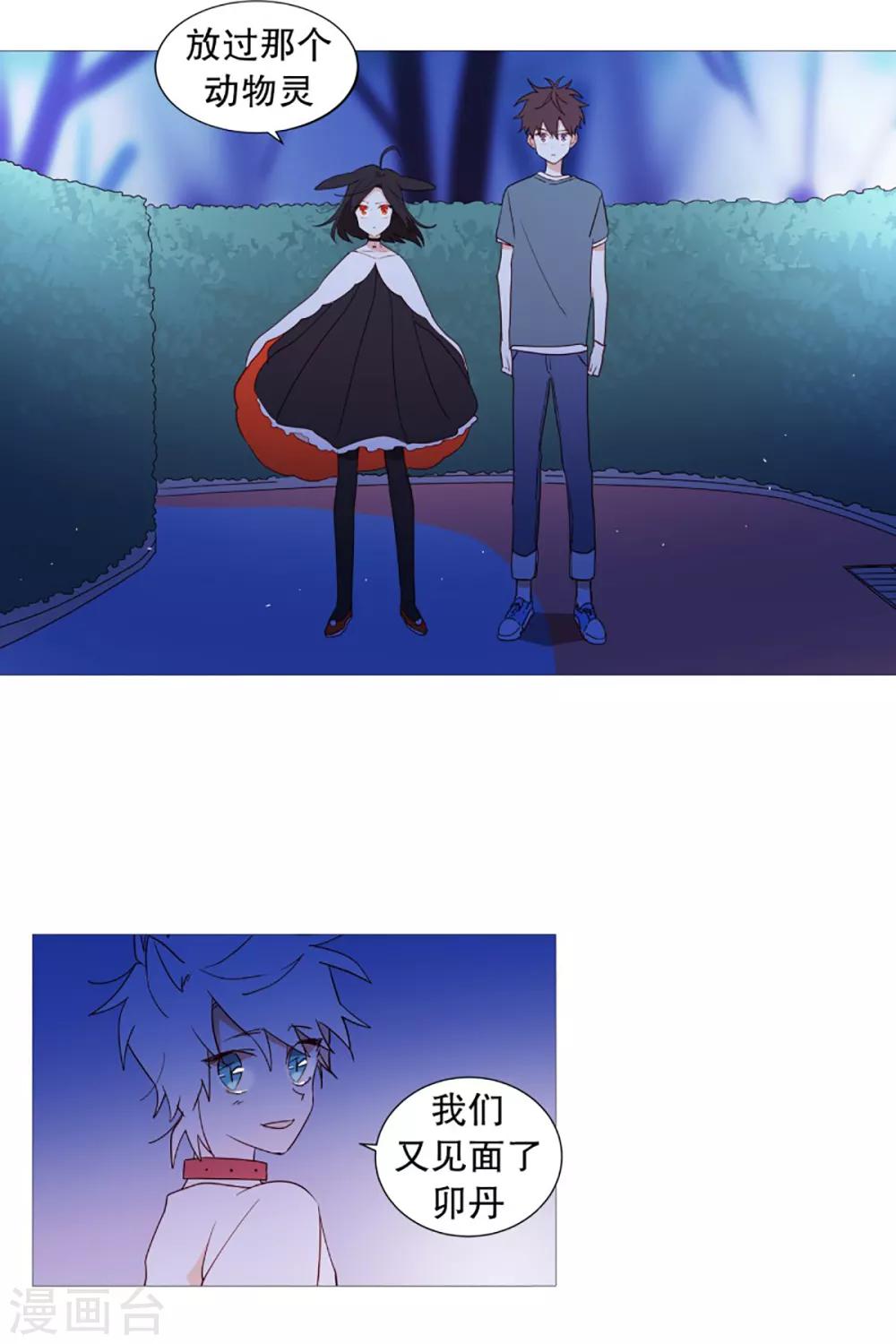动物灵魂管理局韩漫全集-第47话 打赌无删减无遮挡章节图片 