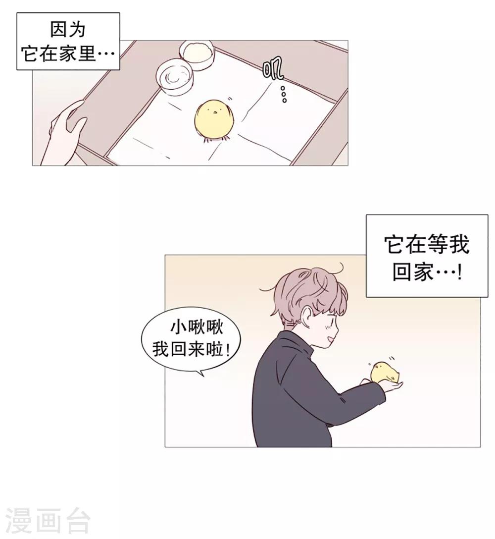 动物灵魂管理局韩漫全集-第49话 小毅的内心2无删减无遮挡章节图片 