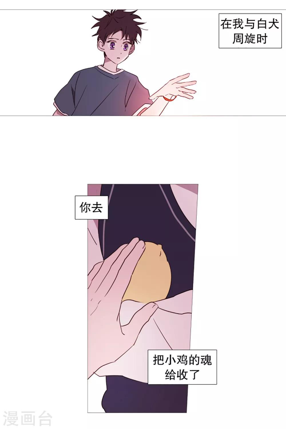 动物灵魂管理局韩漫全集-第53话 小毅与小鸡无删减无遮挡章节图片 