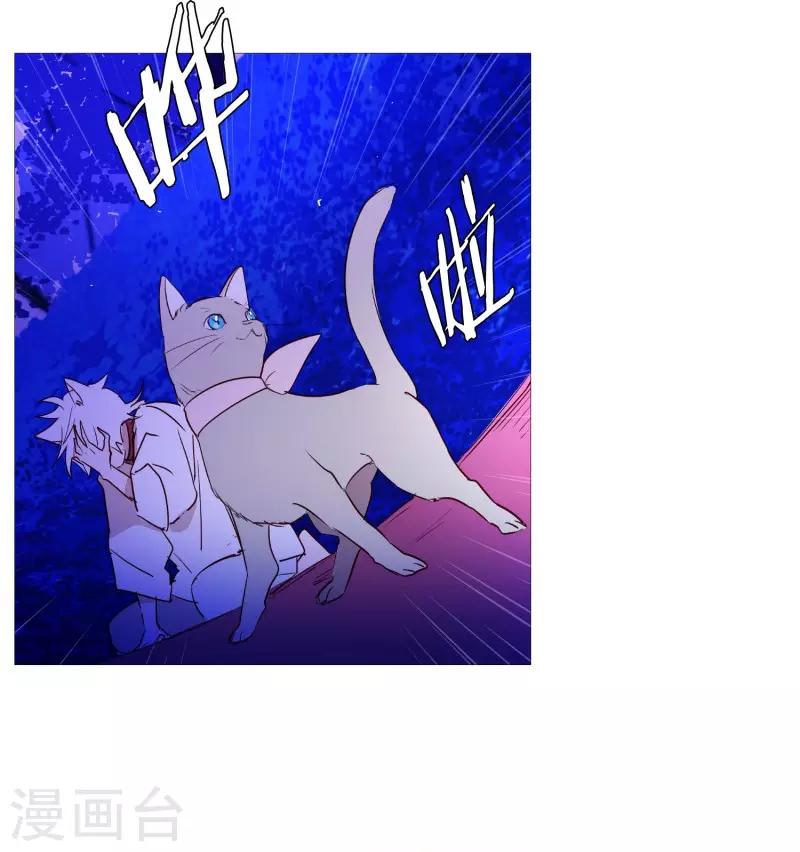 动物灵魂管理局韩漫全集-第65话 猫灵无删减无遮挡章节图片 