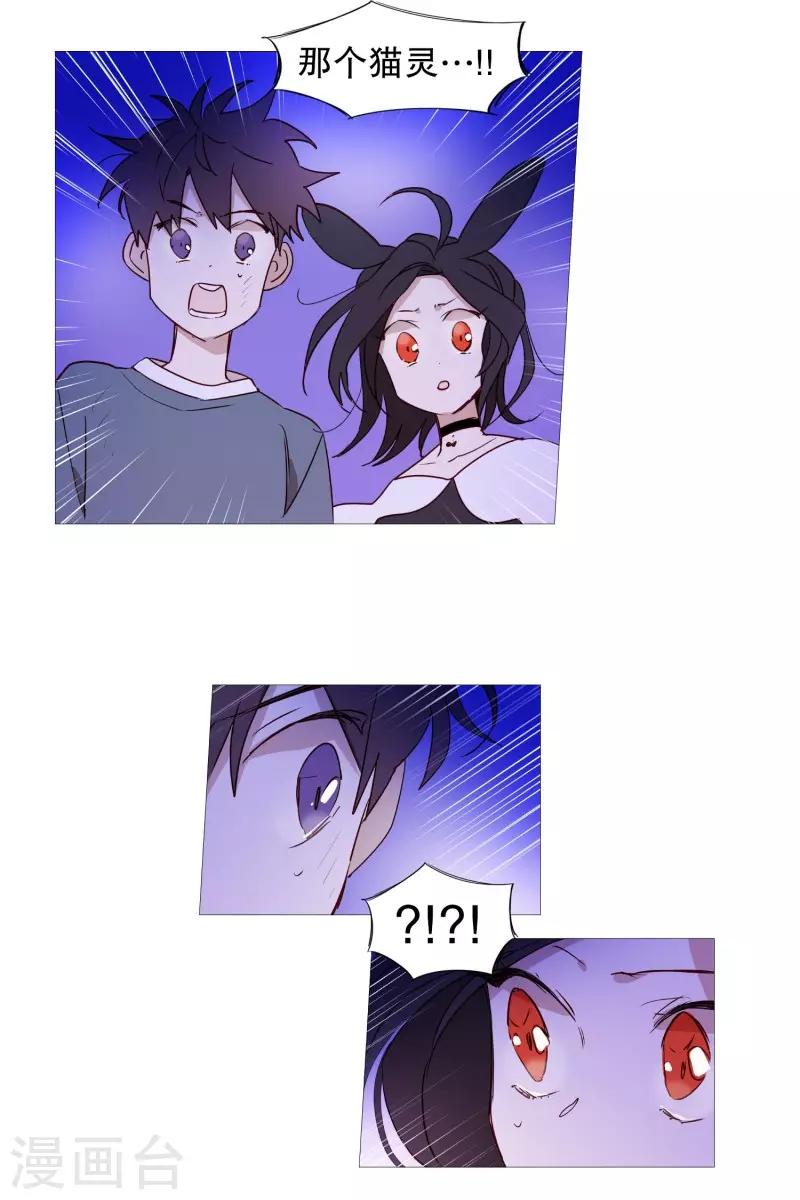 动物灵魂管理局韩漫全集-第65话 猫灵无删减无遮挡章节图片 