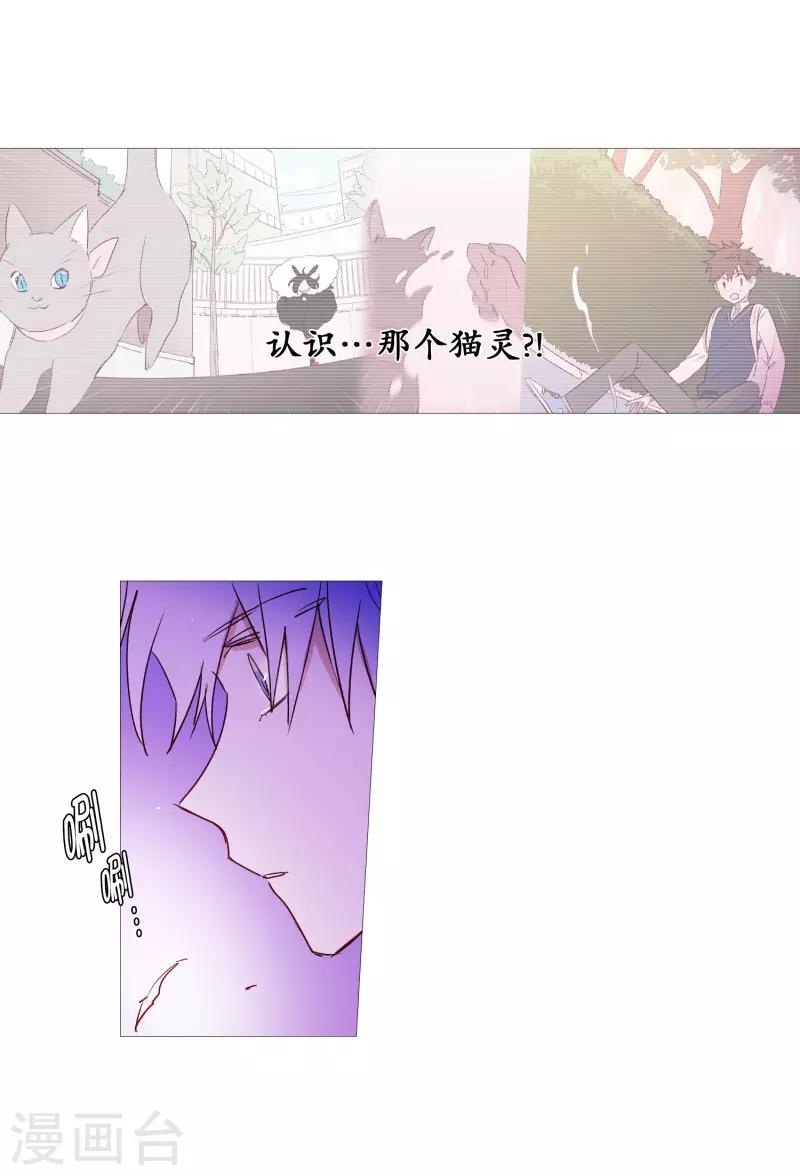 动物灵魂管理局韩漫全集-第65话 猫灵无删减无遮挡章节图片 