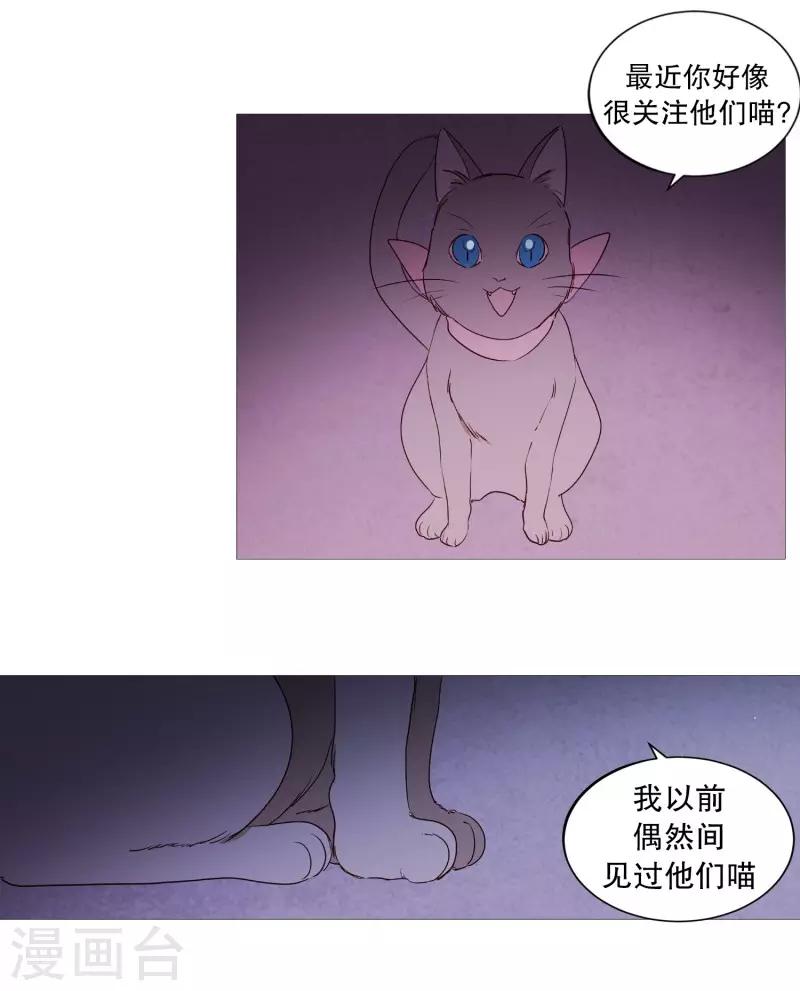 动物灵魂管理局韩漫全集-第83话 无无删减无遮挡章节图片 