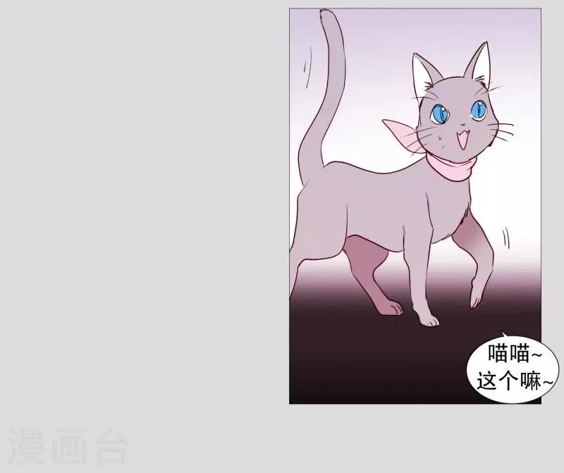 动物灵魂管理局韩漫全集-第83话 无无删减无遮挡章节图片 