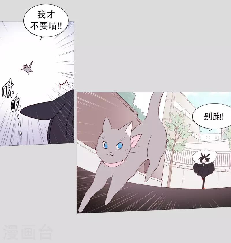 动物灵魂管理局韩漫全集-第83话 无无删减无遮挡章节图片 