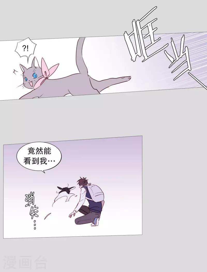 动物灵魂管理局韩漫全集-第83话 无无删减无遮挡章节图片 