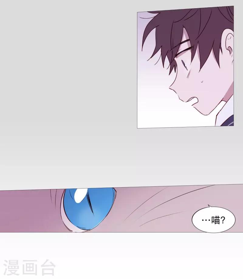 动物灵魂管理局韩漫全集-第83话 无无删减无遮挡章节图片 