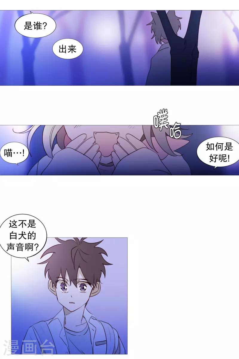 动物灵魂管理局韩漫全集-第87话 喵无删减无遮挡章节图片 