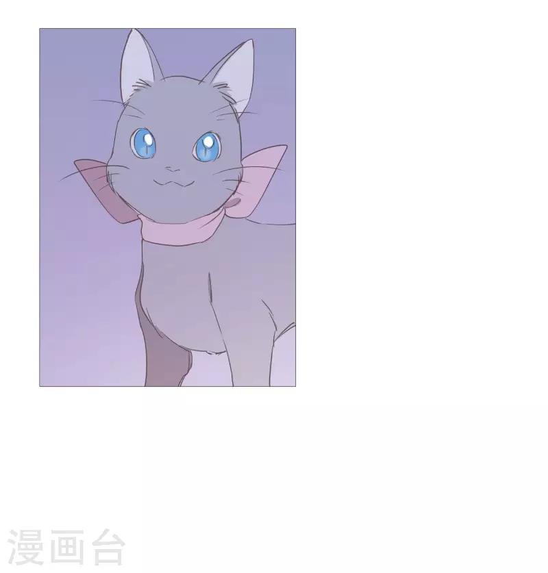 动物灵魂管理局韩漫全集-第87话 喵无删减无遮挡章节图片 