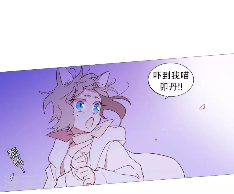 动物灵魂管理局韩漫全集-第90话 猫兔大战无删减无遮挡章节图片 