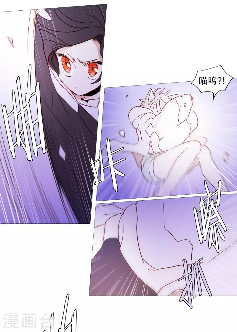 动物灵魂管理局韩漫全集-第90话 猫兔大战无删减无遮挡章节图片 