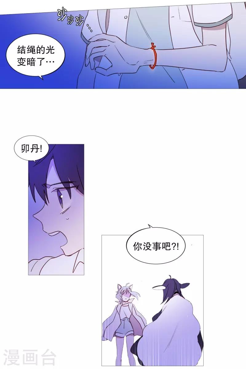 动物灵魂管理局韩漫全集-第91话 逃跑无删减无遮挡章节图片 