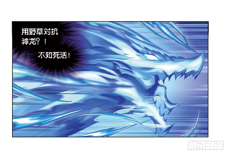 斗罗大陆韩漫全集-第242话 死斗（2）无删减无遮挡章节图片 
