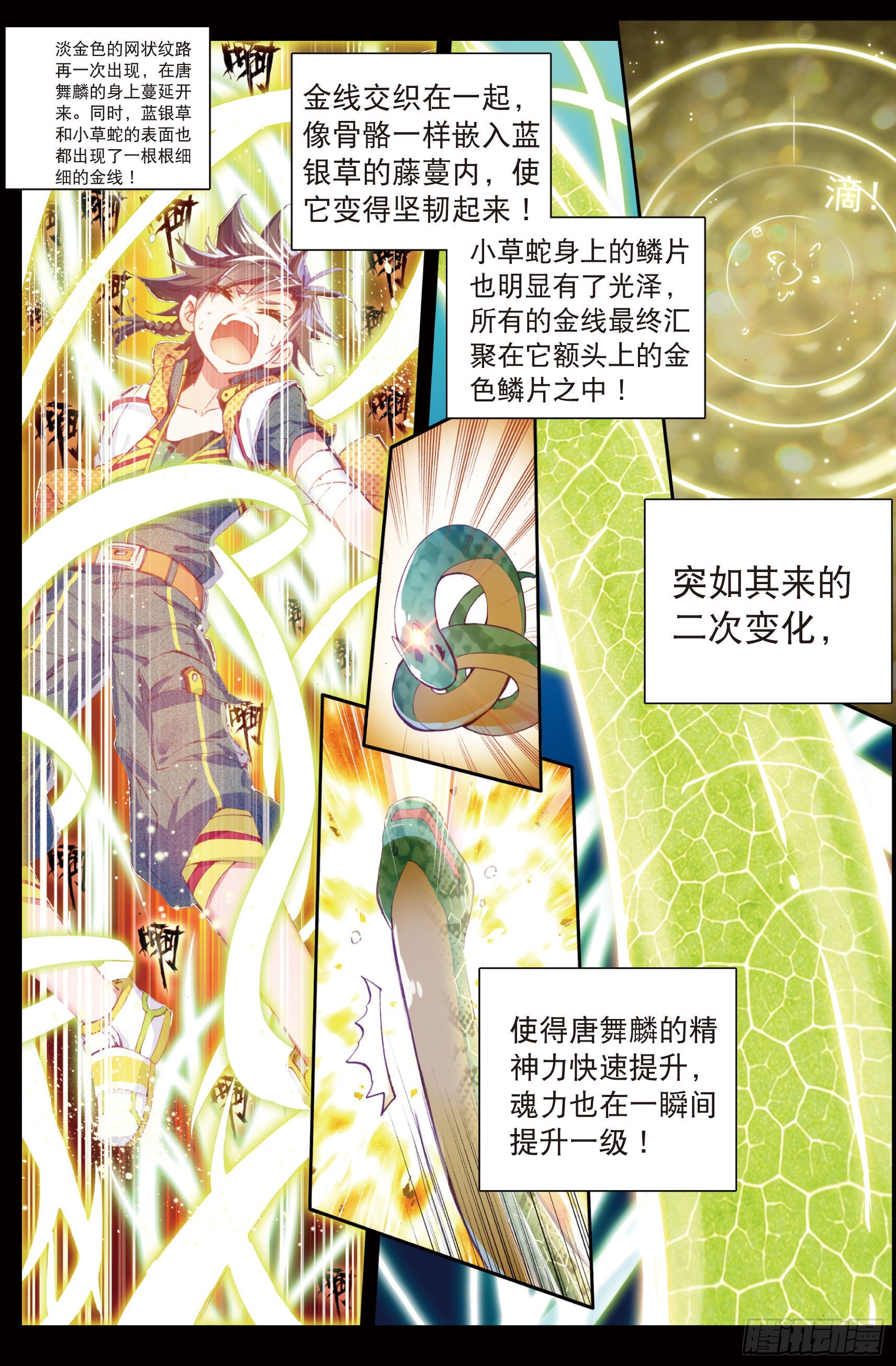 斗罗大陆 第三部 龙王传说韩漫全集-11  融合魂灵无删减无遮挡章节图片 