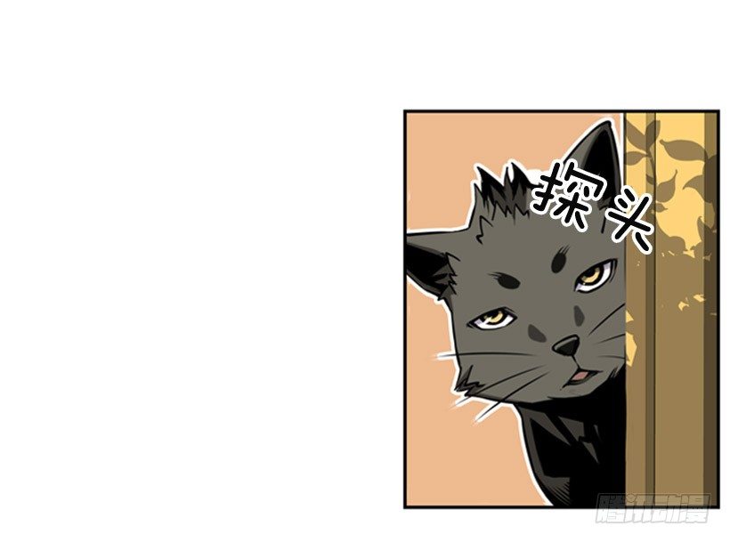 斗神养成实录韩漫全集-旁观者无删减无遮挡章节图片 