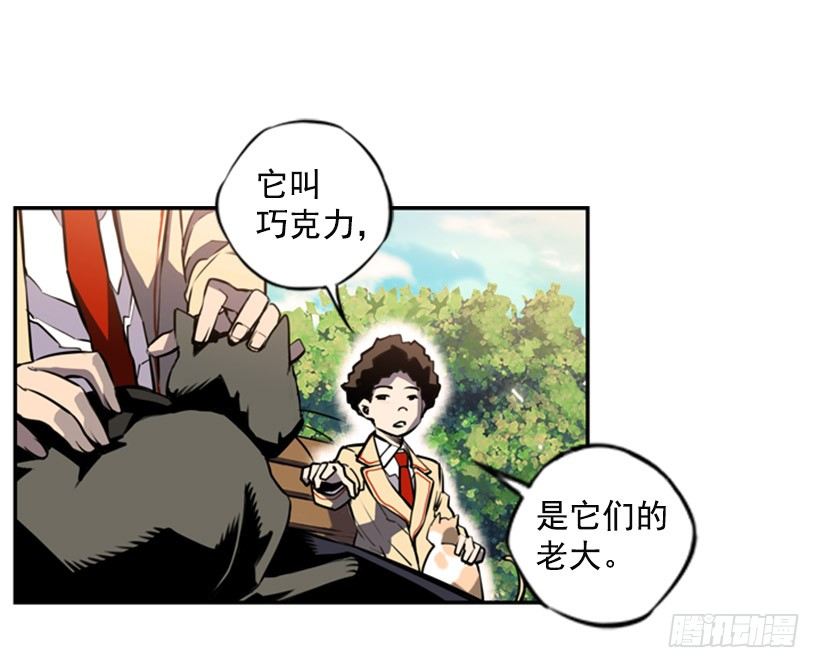 斗神养成实录韩漫全集-旁观者无删减无遮挡章节图片 