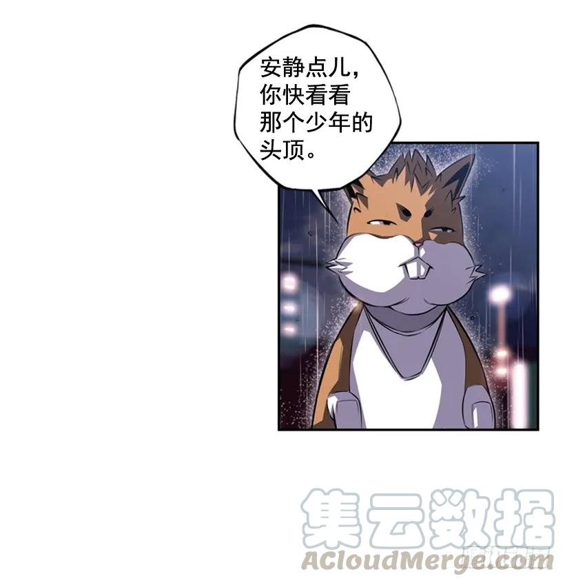 斗神养成实录韩漫全集-头顶的魂灵无删减无遮挡章节图片 