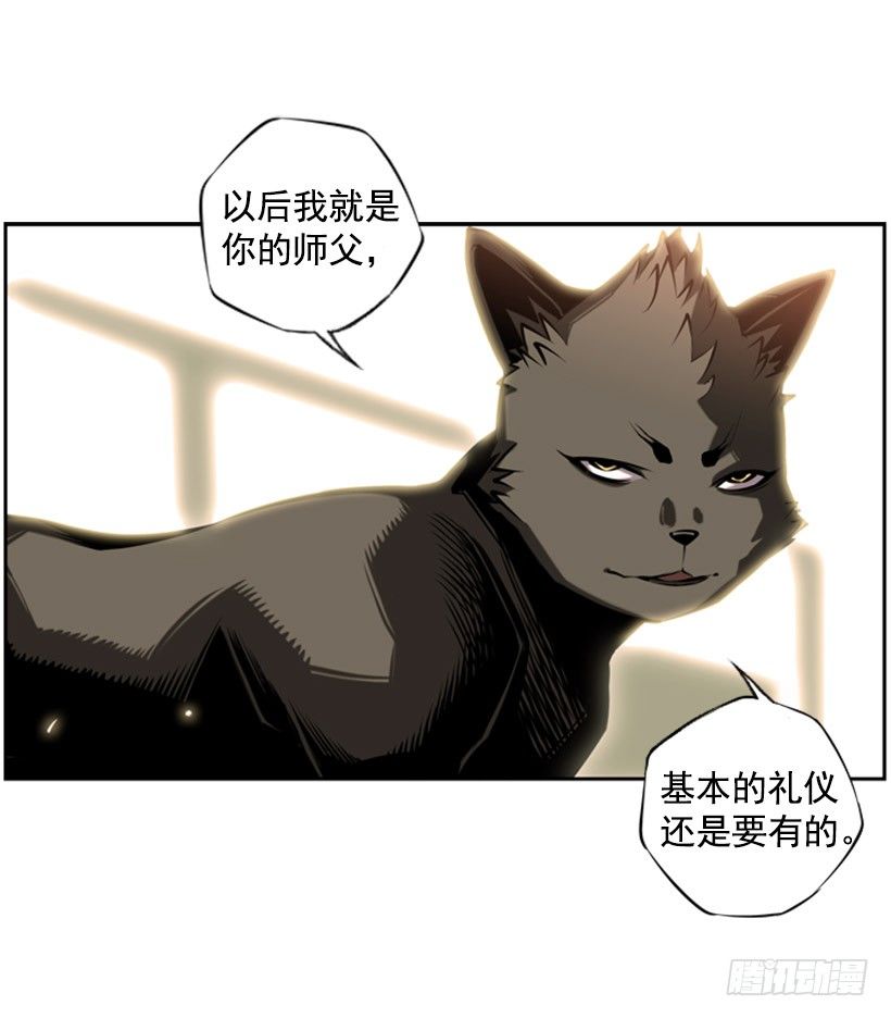 斗神养成实录韩漫全集-拜师无删减无遮挡章节图片 