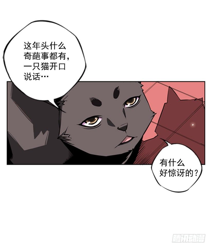 斗神养成实录韩漫全集-斗神无删减无遮挡章节图片 