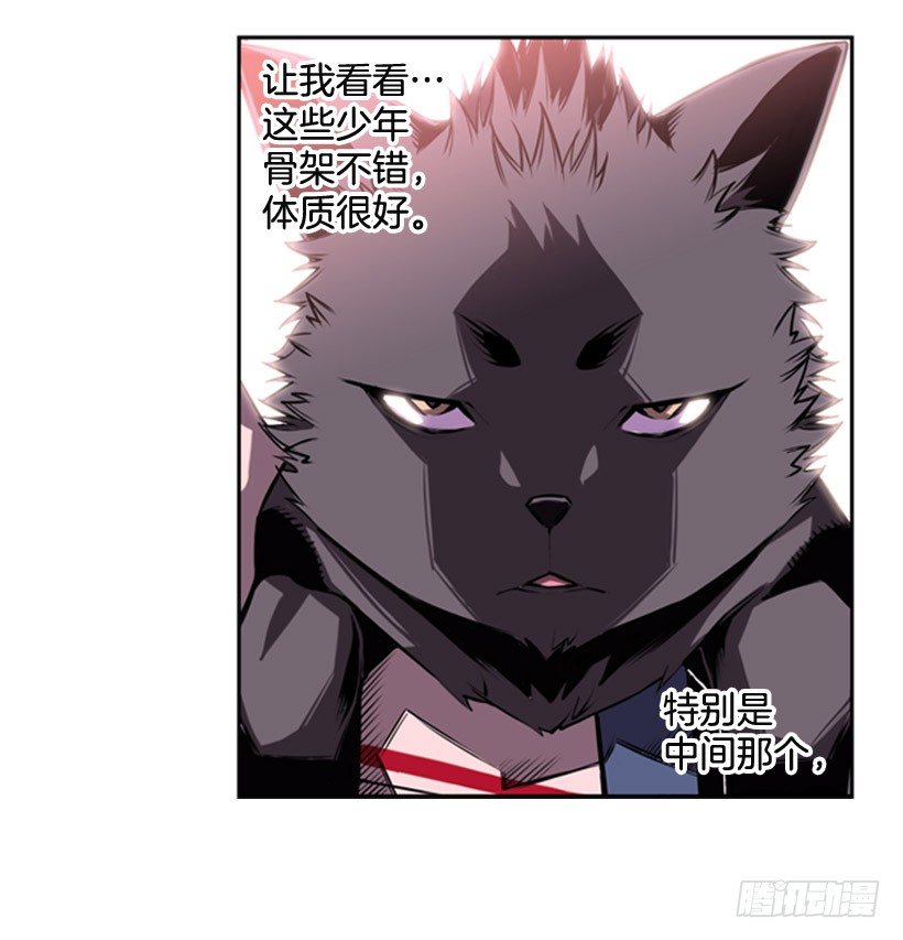 斗神养成实录韩漫全集-斗神无删减无遮挡章节图片 