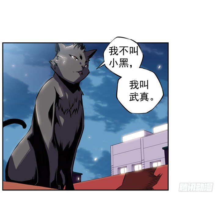 斗神养成实录韩漫全集-继承人无删减无遮挡章节图片 