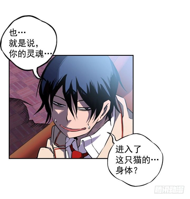 斗神养成实录韩漫全集-继承人无删减无遮挡章节图片 