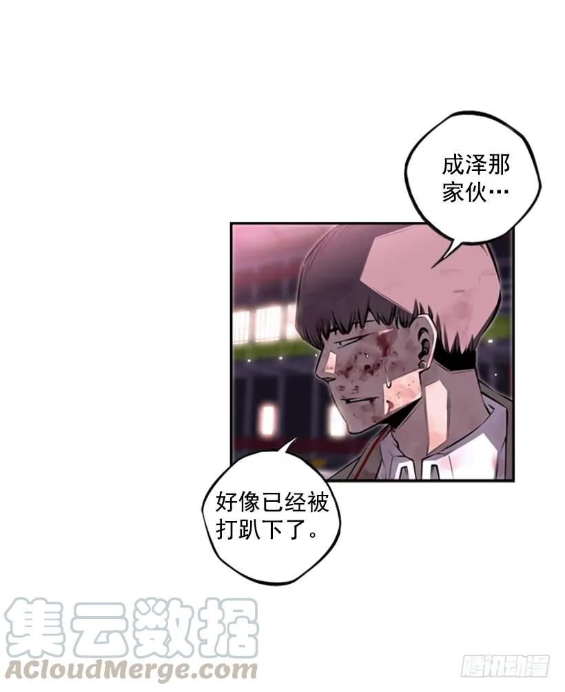 斗神养成实录韩漫全集-来干一场吧无删减无遮挡章节图片 
