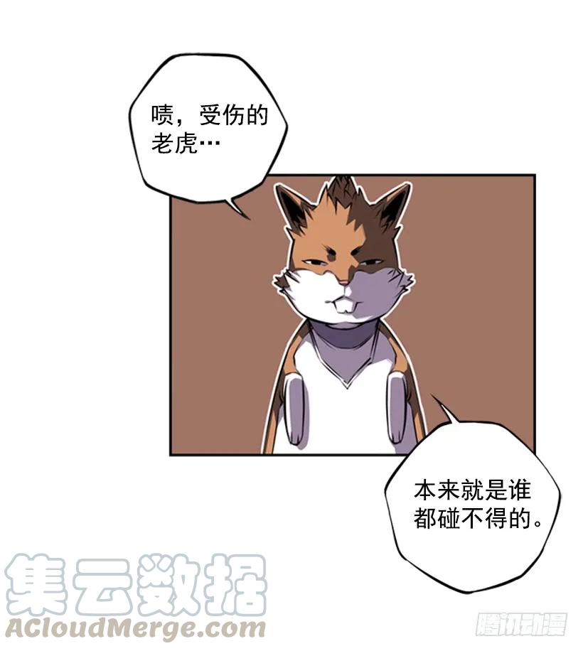 斗神养成实录韩漫全集-来干一场吧无删减无遮挡章节图片 